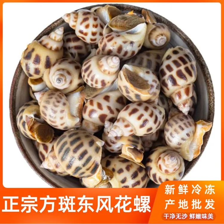 【海艳生鲜】新鲜正宗东风方斑花螺大海螺鲜活速冻香螺海鲜贝类3斤