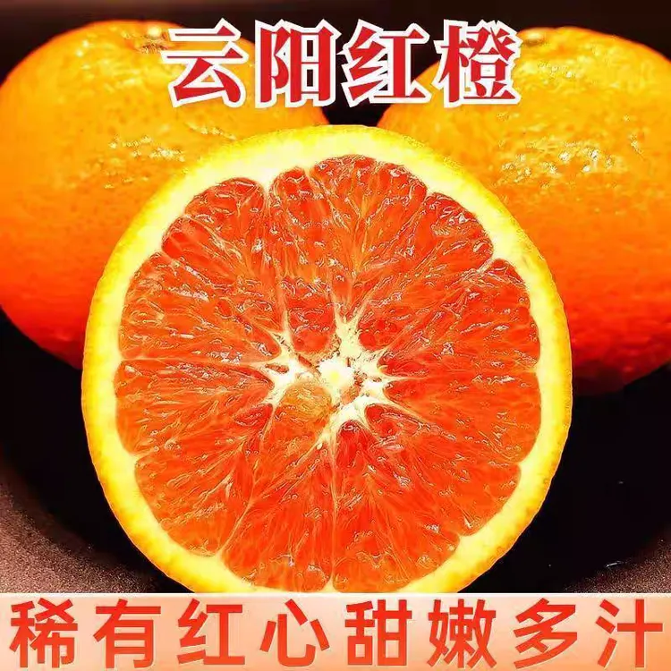 正宗重庆中华红橙血橙新鲜水果当季香甜多汁中华红橙天然可口橙子