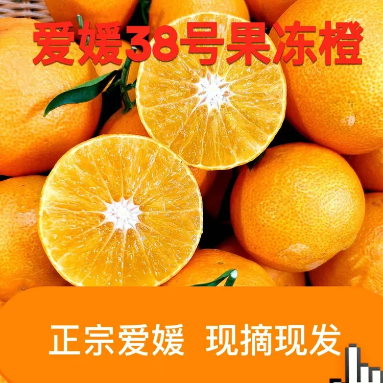 爱媛38号果冻橙四川正宗新鲜水果现摘现发汁水充足爆汁原产地