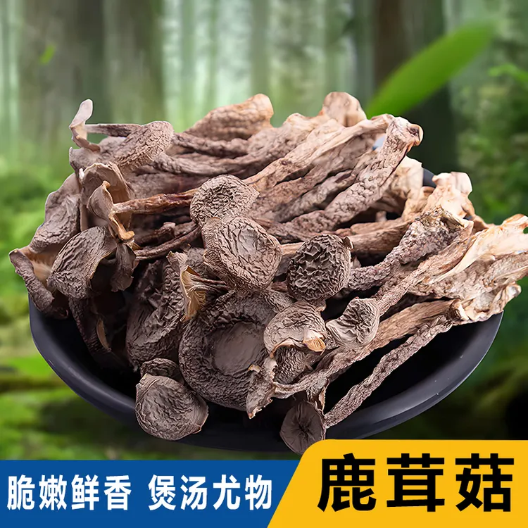 鹿茸菇干货鹿茸菌500g鲜香脆爽菇无硫菌土特产煲汤料炖汤火锅鲜美