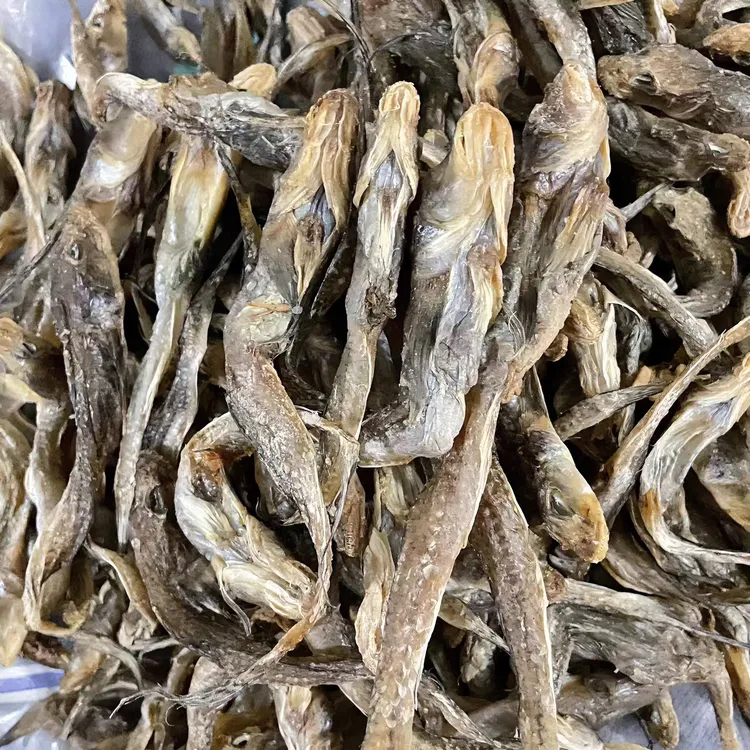 {小新海产}渤海湾半干不带籽咸狗光（油光）鱼 四斤包邮