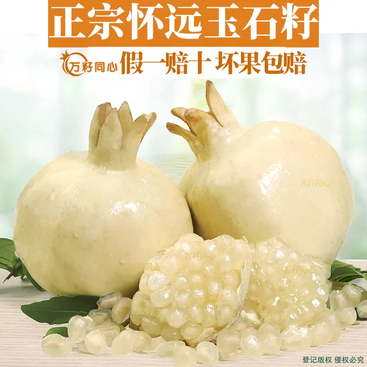 万籽同心正宗怀远石榴精品白花玉石籽石榴白籽安徽蚌埠特产果园