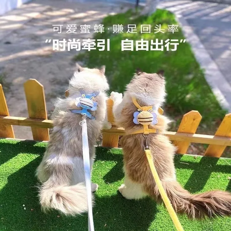 喵经理小蜜蜂猫咪狗狗牵引绳防挣脱溜猫绳工字型可调节胸背溜猫绳