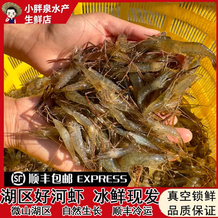 顺丰微山湖淡水小河虾新鲜活虾急冻生态大青虾草虾清水大河虾孕妇