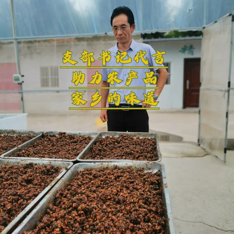西瓜豆糁  书记代言田园西册纯手工制作妈妈味道