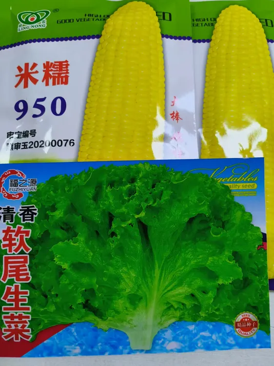 （米糯950）拍2单送生菜种子
