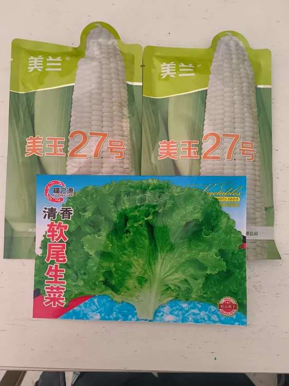 美玉27糖版）拍2单送生菜种子