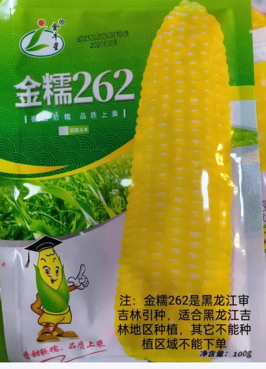 金糯262拍3单送香菜种子