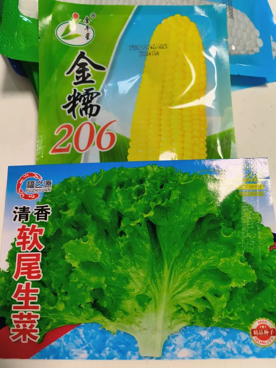 （金糯206）拍2单送软尾生菜种子