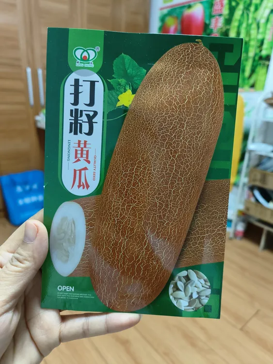 精选打籽黄瓜种子