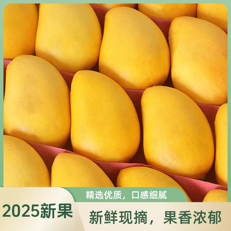 海南小台农芒果新鲜现摘应当季热带水果小台鸡蛋芒特产整箱包邮