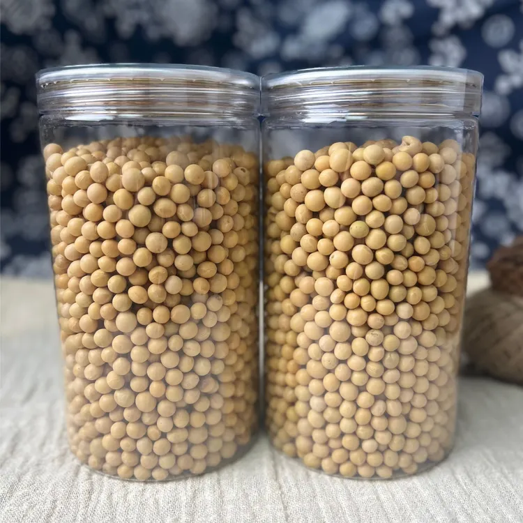 黄豆 精选品质 广东 润康来甄选滋补 HD