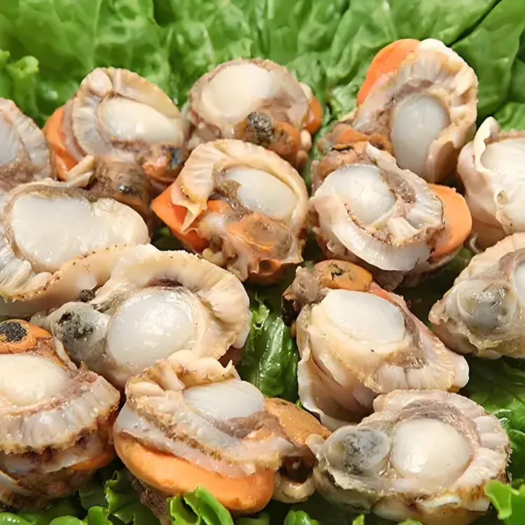 新鲜扇贝肉 大个头带黄 