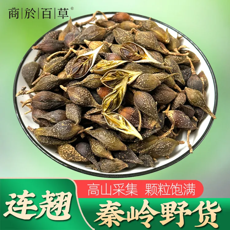 秦岭野连翘青连翘野外采摘100g可配金银花秦岭山货