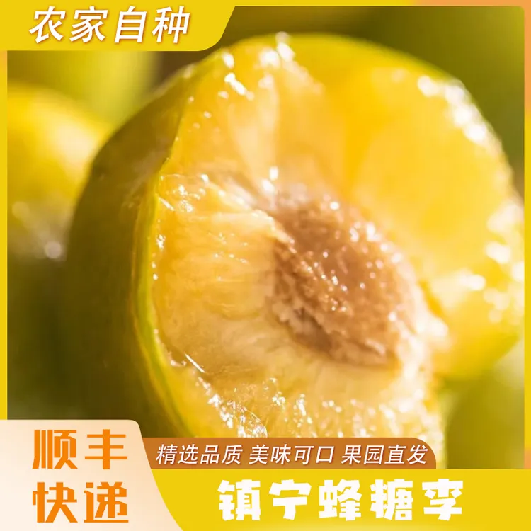 贵州正宗蜂糖李新鲜美味成熟饱满多汁精选品质果园基地直发
