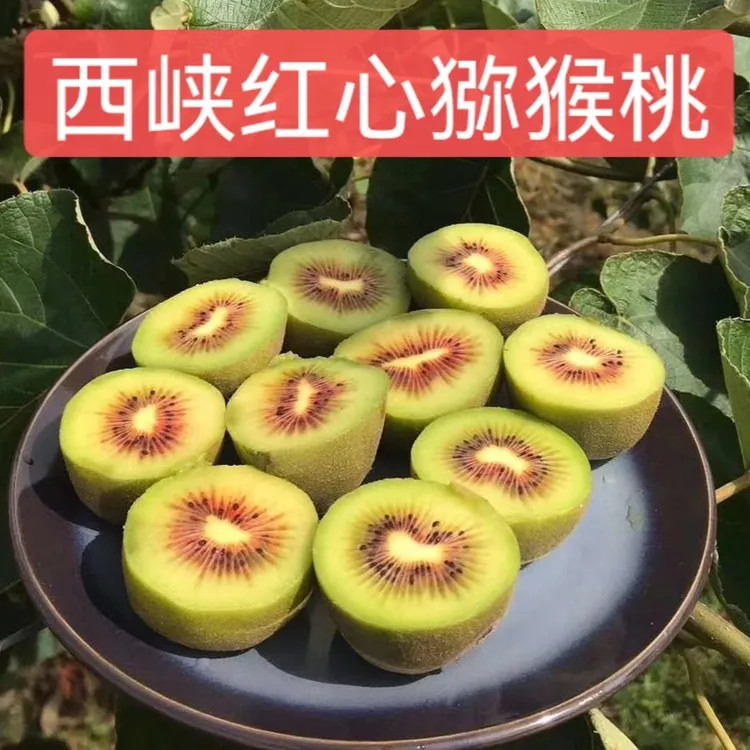 现摘西峡红心猕猴桃奇异果新鲜当季水果非黄心绿心猕猴桃2/5/7斤