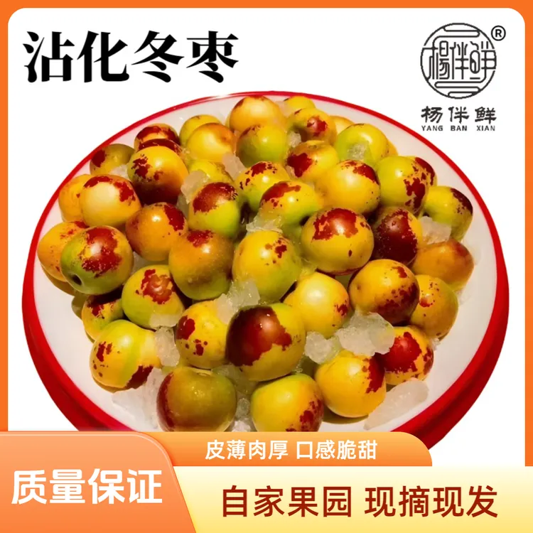 杨伴鲜【顺丰京东】沾化冬枣 现摘现发 大棚冬枣  产地直发