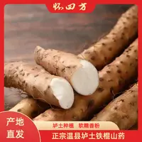 【怀四方】25年新货怀山药焦作温县垆土地铁棍山药营养健康
