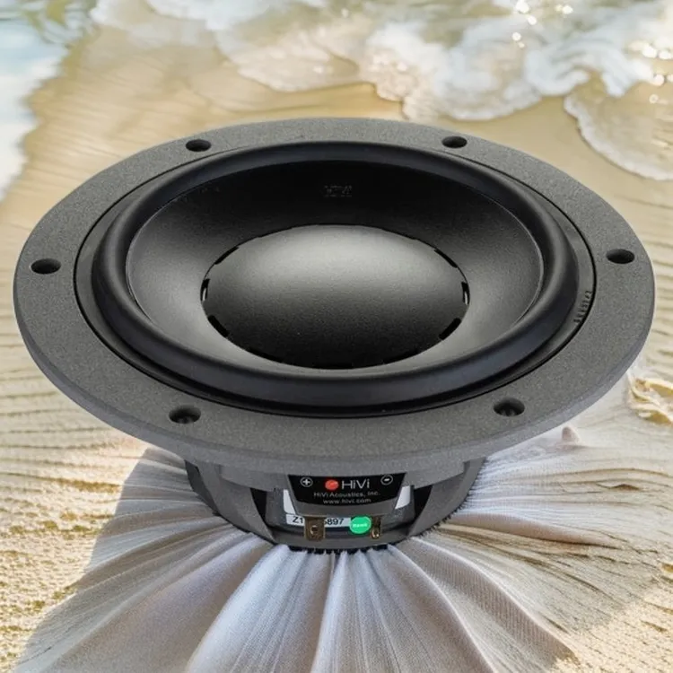 Hivi惠威大功率适用D6.8MKII/D6.4MKII 中低音6.5寸HIFI喇叭
