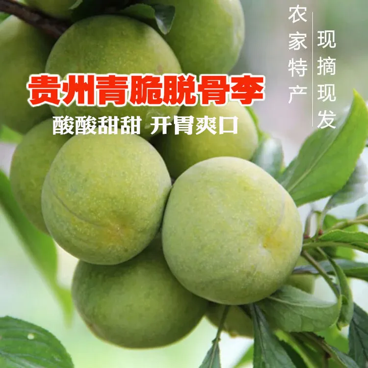 正宗贵州青脆脱骨李新鲜空心土李子冰糖李孕妇贵州水果非蜂糖李