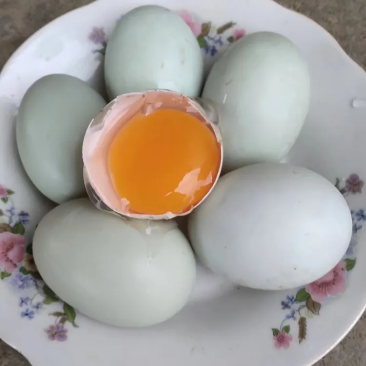 丫蛋姐家水养鸭鲜鸭蛋走地鸭土鸭蛋非笼养谷饲鸭蛋青草鸭蛋