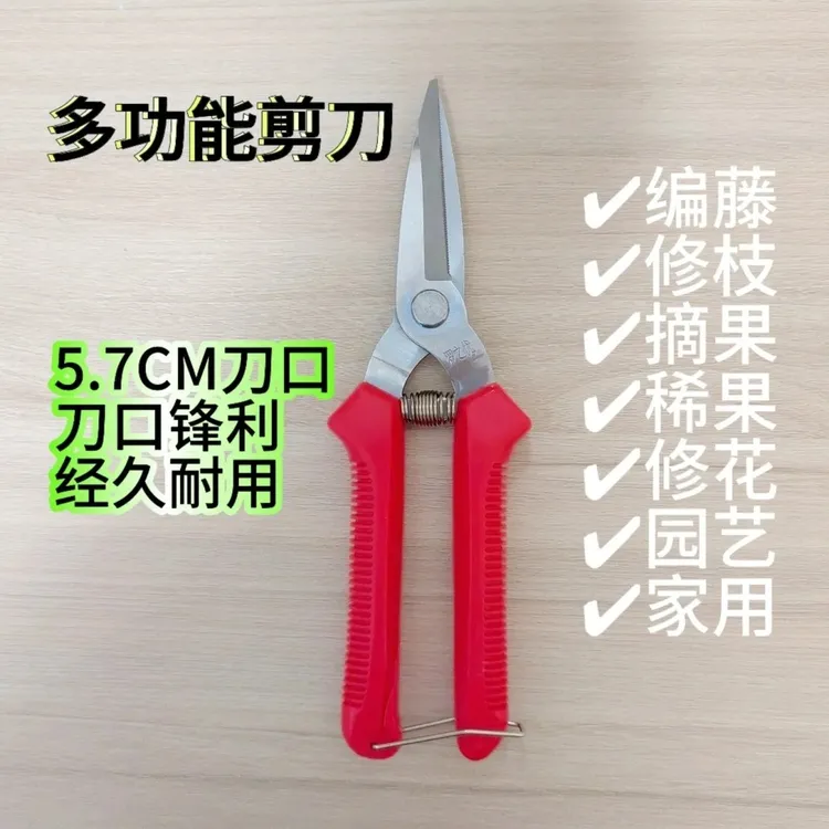 强力剪树剪刀剪子修枝剪刀剪花剪刀编藤剪刀剪刀剪枝园艺摘果剪刀