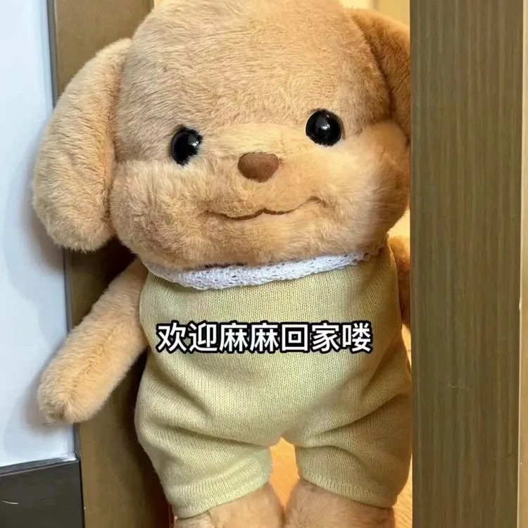 网红毛绒玩具贵宾犬可爱父亲节儿童节宝宝发货展示