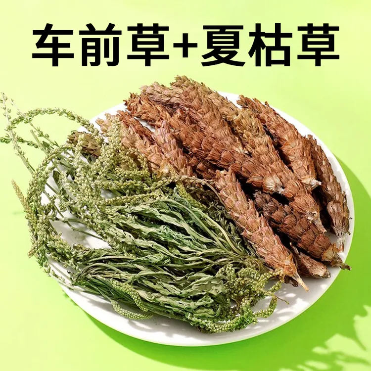 车前草+夏枯草组合当季新货干货甄选煮水泡水煮鸡蛋