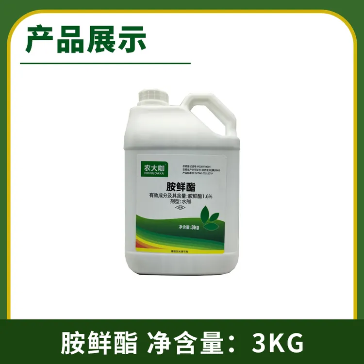 胺鲜酯，番茄黄瓜增强光合作用，促进膨果生根剂