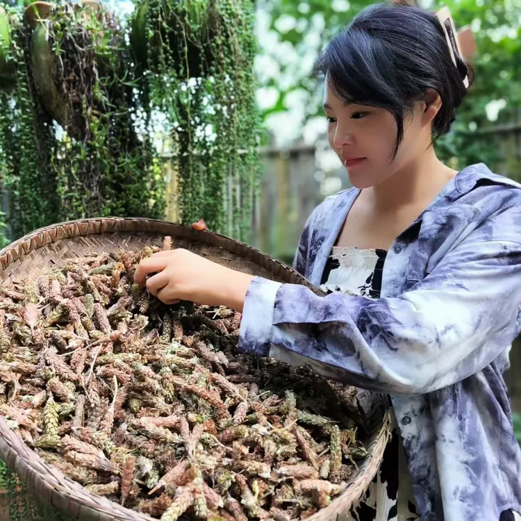 四川巴中夏枯草夏枯球2024年新货自然晒干泡茶泡水煮鸡蛋夏枯草球
