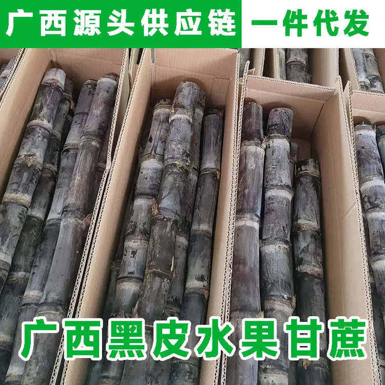 广西黑皮甘蔗新鲜水果脆甜多汁应当季孕妇甜杆果蔗甘蔗10根一捆