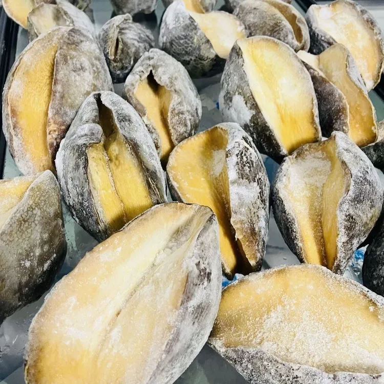 顺丰 俄罗斯风味大鲍罗 大鲍螺 刺身黄金鲍规格齐全 火锅烧烤凉拌