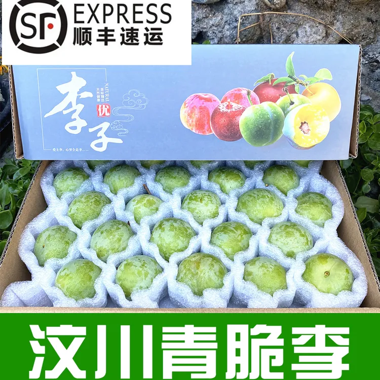 【唯果多】顺丰速运四川汶川茂县九月晚熟高山青脆脱骨李现摘现发