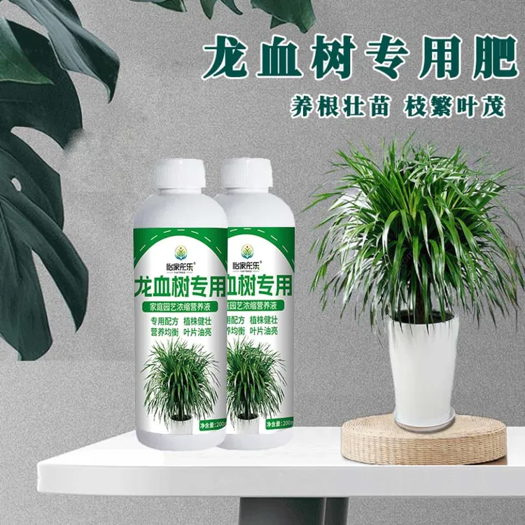 【龙血树专用】营养液园艺肥料绿植烂根促生根黄叶掉叶微量元素生长
