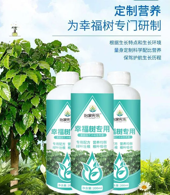 【幸福树专用】家用幸福树懒人肥料氮磷钾生长配方盆栽园艺通用商品图