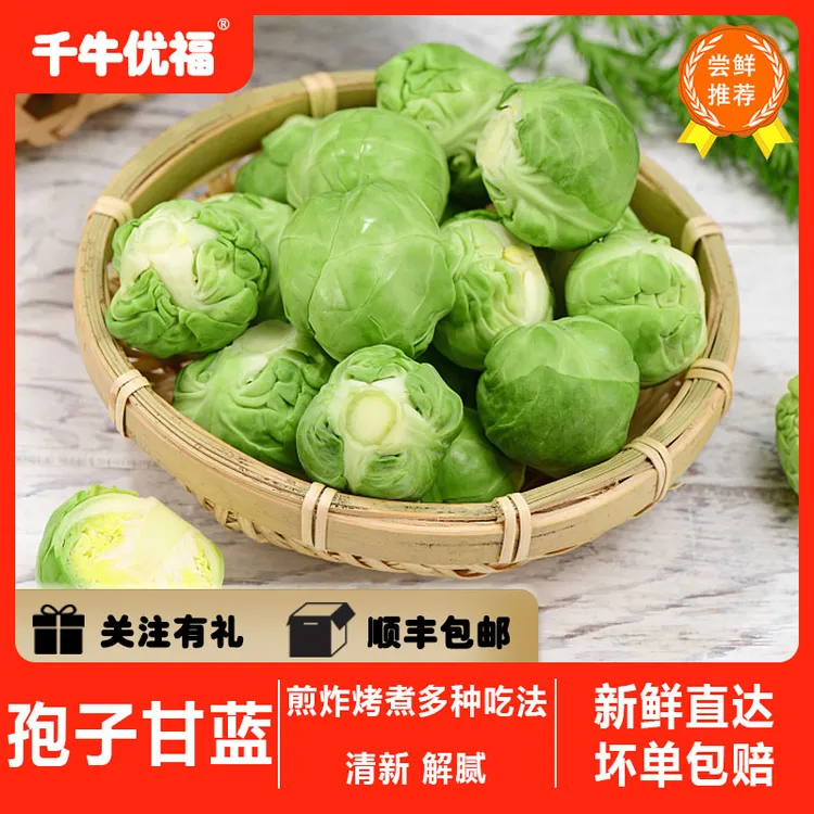 千牛优福孢子甘蓝1-5斤 新鲜抱子甘蓝球芽甘蓝小包菜卷心甘蓝菜