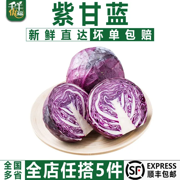 千牛优福紫甘蓝650g 紫包菜紫色球生菜红紫椰菜新鲜沙拉食材