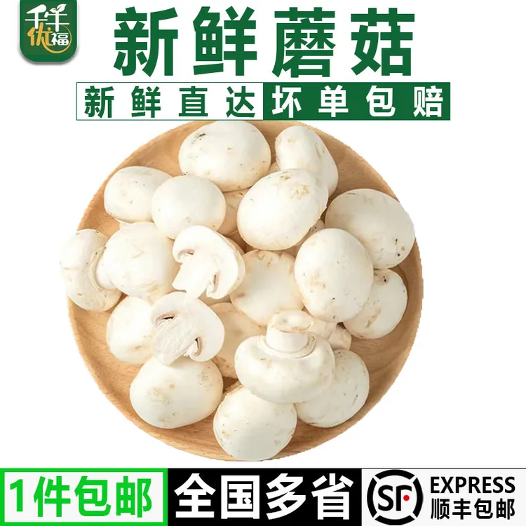 千牛优福白蘑菇250-2500g 新鲜食用菌菇 烧烤蘑菇 双孢菇煲汤蔬菜