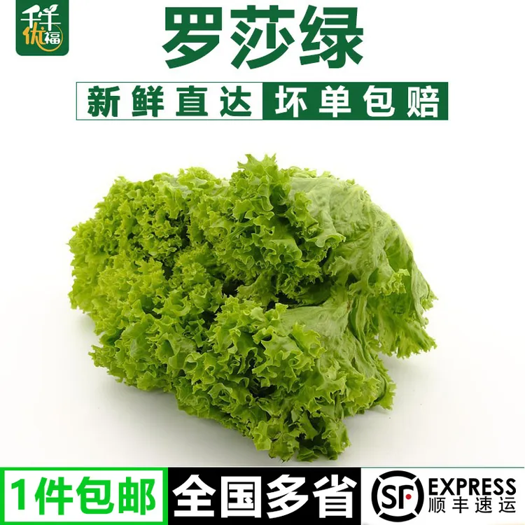 千牛优福新鲜罗莎绿1-10斤韩式烤肉花边生菜花叶新鲜蔬菜沙拉食材