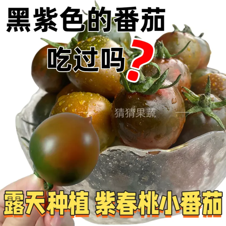 【满满花青素】新鲜自然熟紫春桃铁皮柿子巧克力番茄儿童孕妇水果商品图