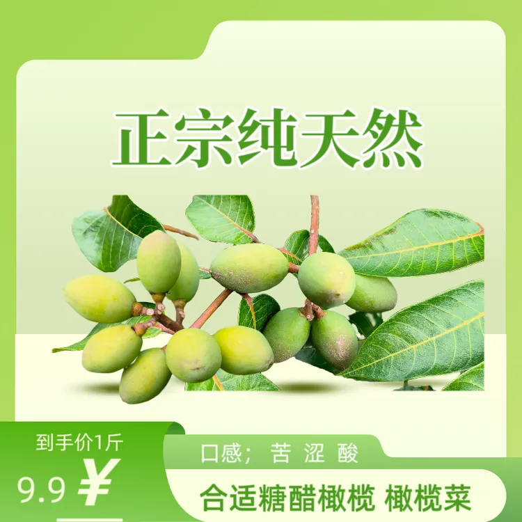潮汕金灶 土种橄榄适合  熬橄榄菜  糖醋橄榄 南生姜橄榄 煲汤
