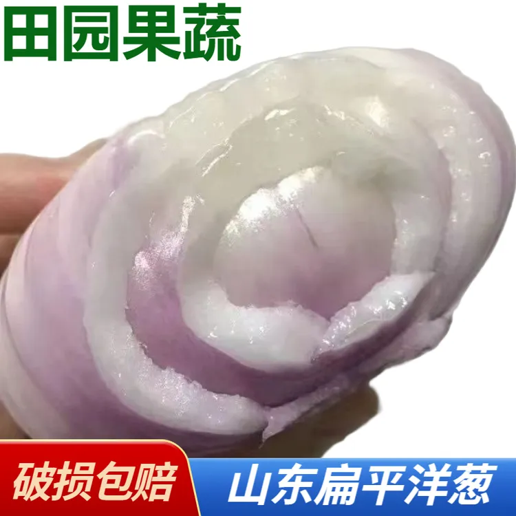 水果扁洋葱新鲜扁洋葱可生吃水果扁平洋葱微辣微甜汁水5斤装香辣