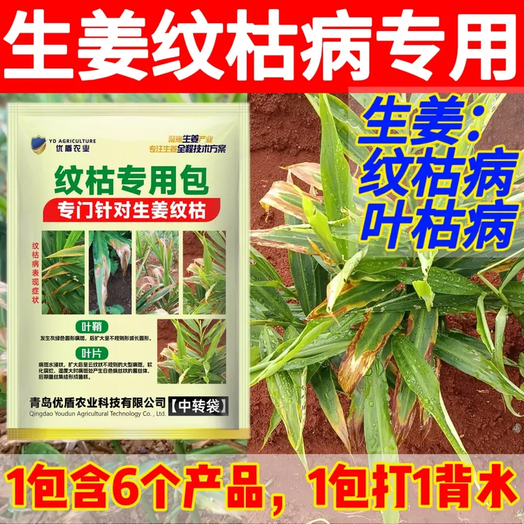 生姜纹枯病叶枯病优盾农业纹枯病生姜纹枯病生姜纹枯叶枯特效药