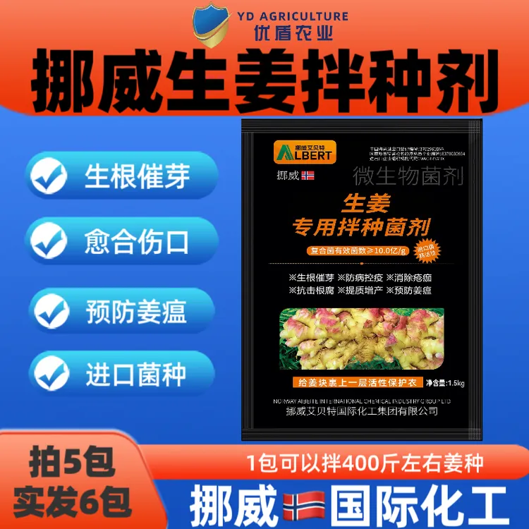 挪威生姜拌种剂 大姜黄姜拌种剂 预防姜瘟生根催芽姜种拌种剂菌剂