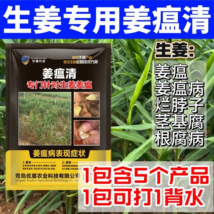 姜瘟清姜瘟病优盾农业姜瘟净姜瘟用药姜瘟专用药姜瘟病防治姜瘟