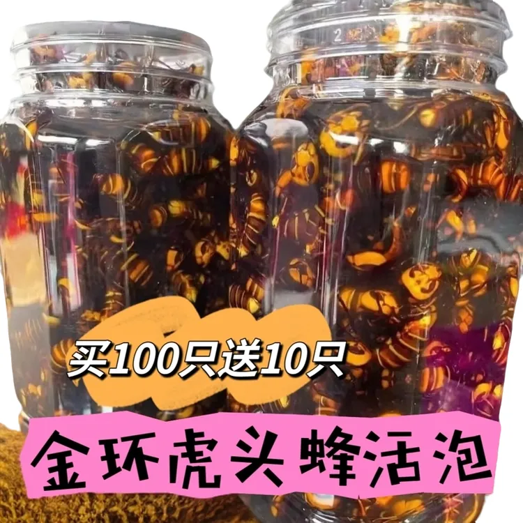 精选金环虎头蜂100只【送10只】活泡带原液瓶装发货