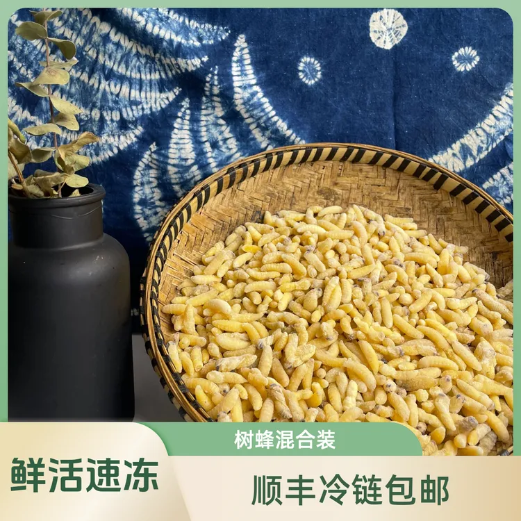 顺丰发货树蜂蛹一二级黄脚七里葫芦蜂野生马蜂混合装广东发货