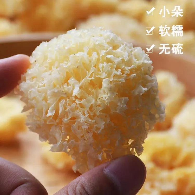 精品椴木小银耳干货易出胶农产品食用本色本色