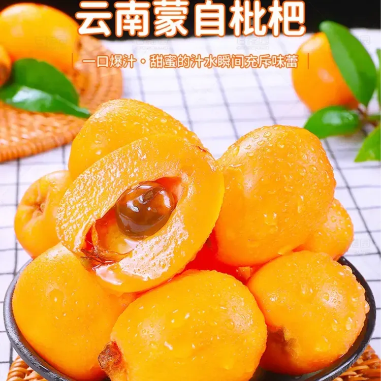 正宗云南蒙自枇杷新鲜采摘皮薄多汁孕妇水果