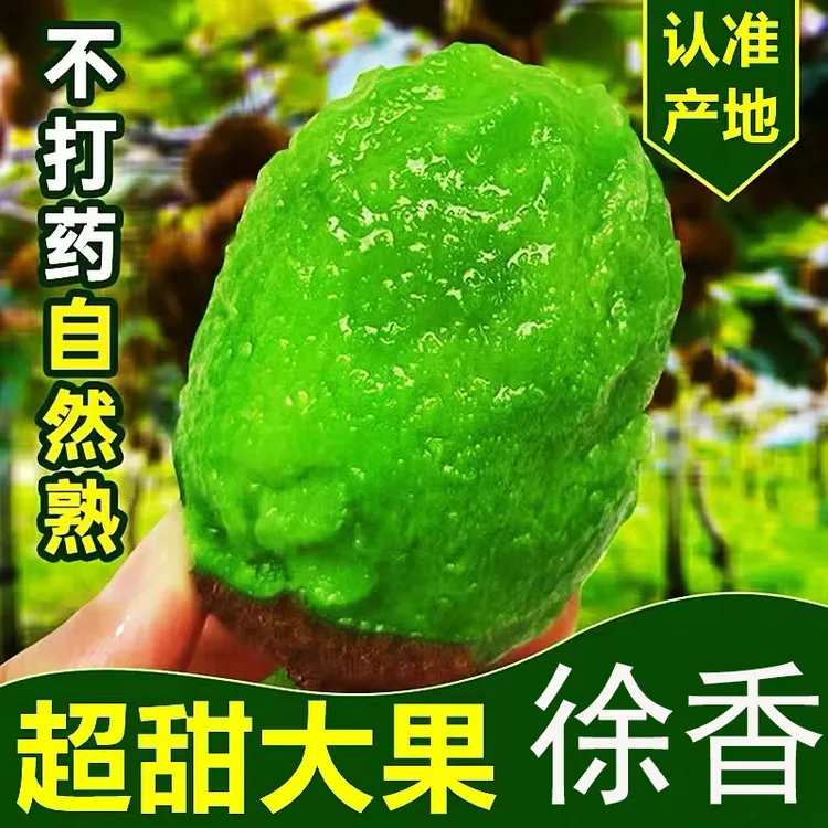 2025新果陕西徐香猕猴桃新鲜香甜多汁孕妇小孩水果坏果包赔